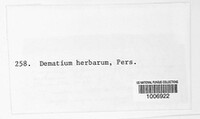 Cladosporium herbarum image